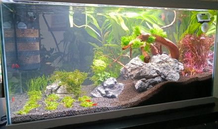 aquarium Bac 60l