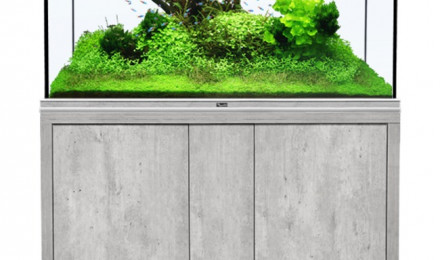 aquarium Aquatlantis Fusion