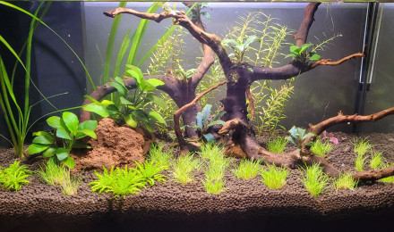 aquarium 30 l