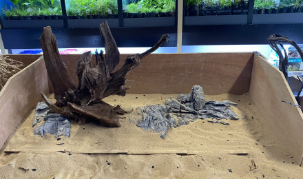 aquarium Nouveau projet