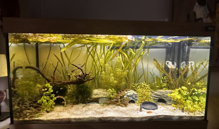 aquarium 450 L salon