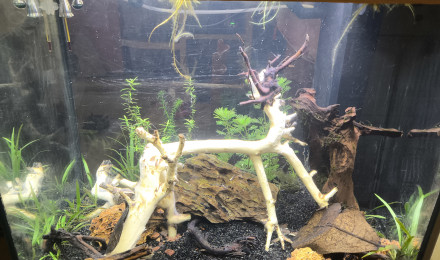 aquarium juwel lido 120
