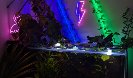 aquarium Aquarium 330L