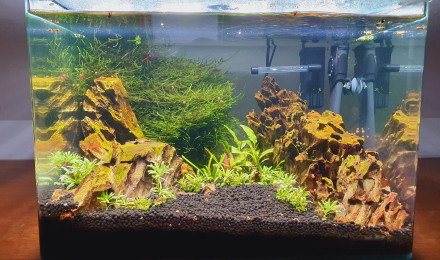 aquarium Canyon