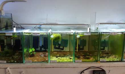 aquarium PORTELLI