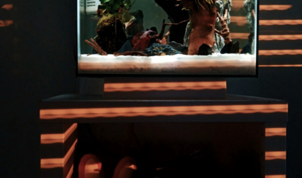 aquarium Tropicana