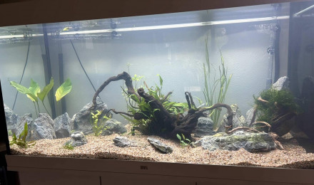 aquarium Aqua360