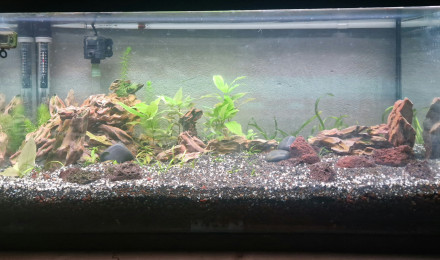 aquarium 90l filtre sous sable