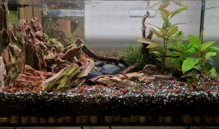 aquarium 40l
