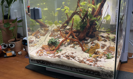 aquarium Test 1