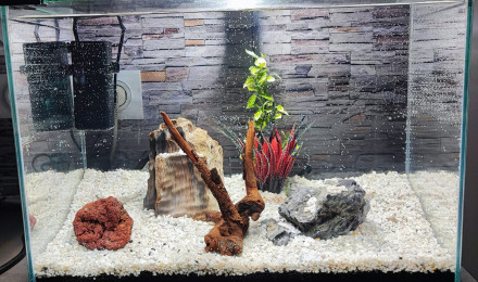 aquarium Trufy 40L