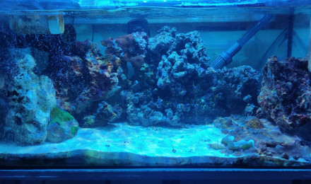 aquarium Polo68