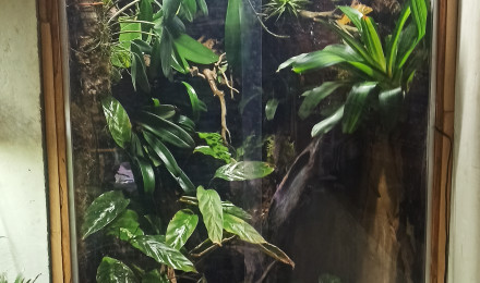 aquarium Grand paludarium