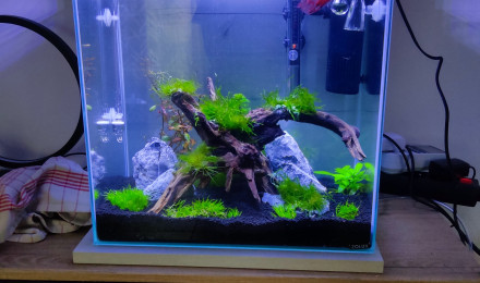 aquarium Zolux 40L