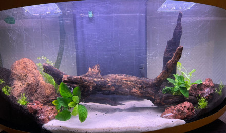 aquarium aquarium de sauvetage