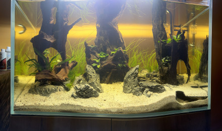 aquarium Aquael Ultrascape 90