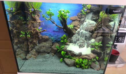 aquarium Juwel 120 l