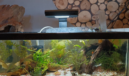 aquarium Bac crevettes PRL