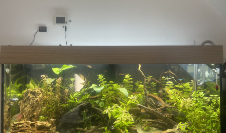 aquarium Aquarium 180 L