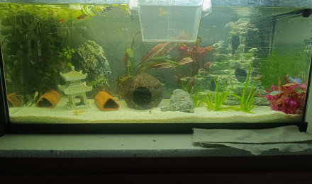 aquarium Aquarium 100litre