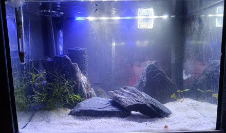 aquarium Aquarium 15litre