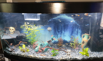 aquarium AquaSam