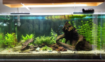 aquarium lebac120