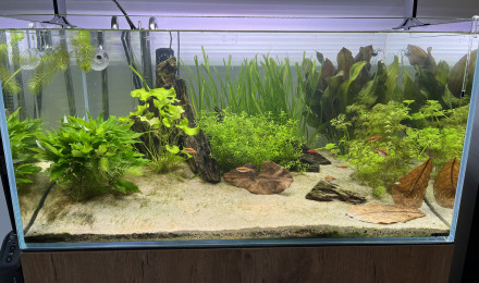 aquarium Aquael UltraScape 90