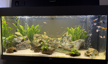 aquarium Juwel 180