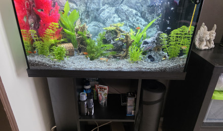 aquarium Juwel