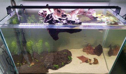 aquarium 160 litre