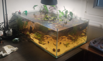 aquarium Shallow 70