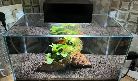aquarium Fluval Edge 2.0