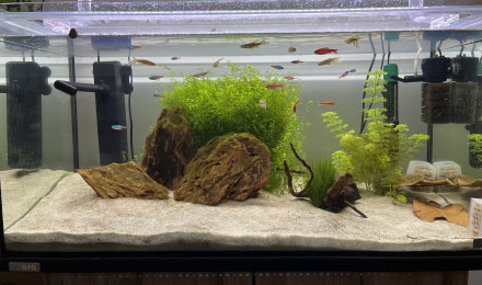 aquarium Sera AquaTank