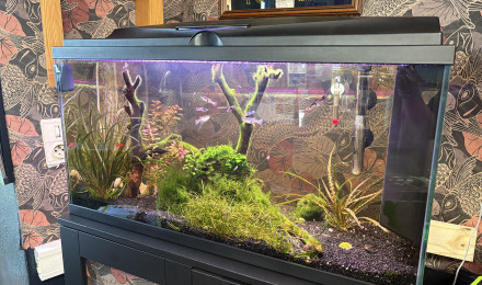 aquarium Tititarium