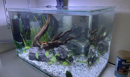 aquarium Mon 1er