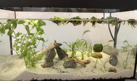 aquarium Nano Enfant