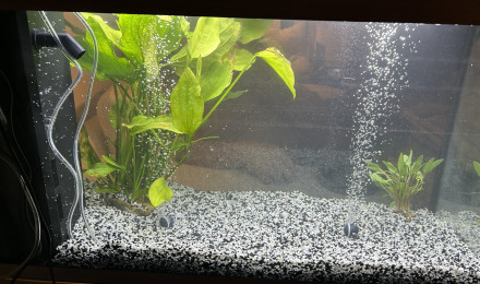aquarium Rio