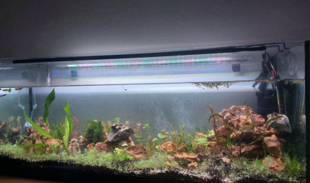 aquarium Aqua suite 22 06 25