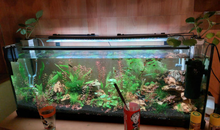 aquarium Aqua suite 17 06 25