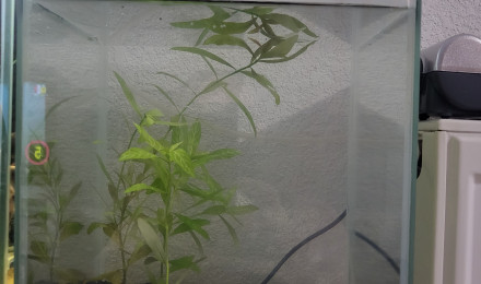 aquarium Medic creucreux