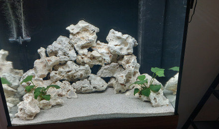 aquarium biotope lac malawi 200 litres