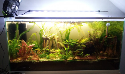 aquarium Aquarium feel good 76L