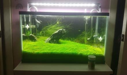 aquarium Furyohin
