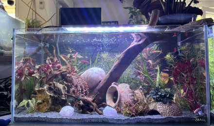 aquarium Tank AQUAEL 60 Opale