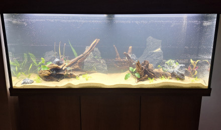 aquarium 240L communautaire