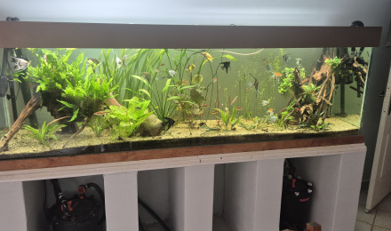 aquarium 1000l