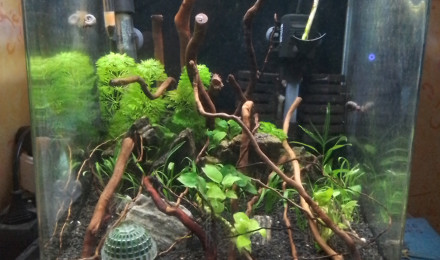 aquarium Bac 30 L