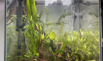 aquarium Aqua colonne 50 170 l 150
