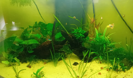 aquarium Aqua190